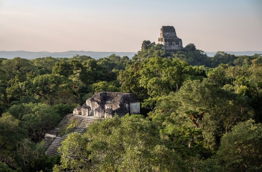 Maya Biosphere Reserve, Petén Department, Guatemala